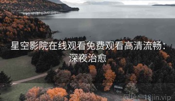 星空影院在线观看免费观看高清流畅：深夜治愈