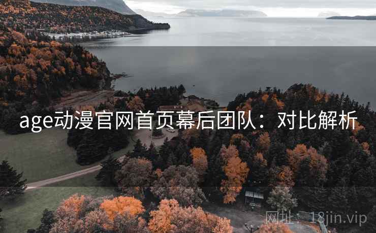 age动漫官网首页幕后团队：对比解析